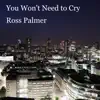 Ross Palmer - You Won't Need to Cry - Single
